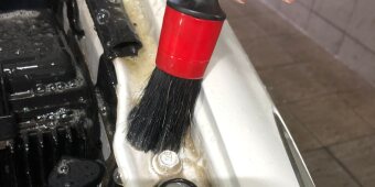 Motorraumreinigung und Marderschutz